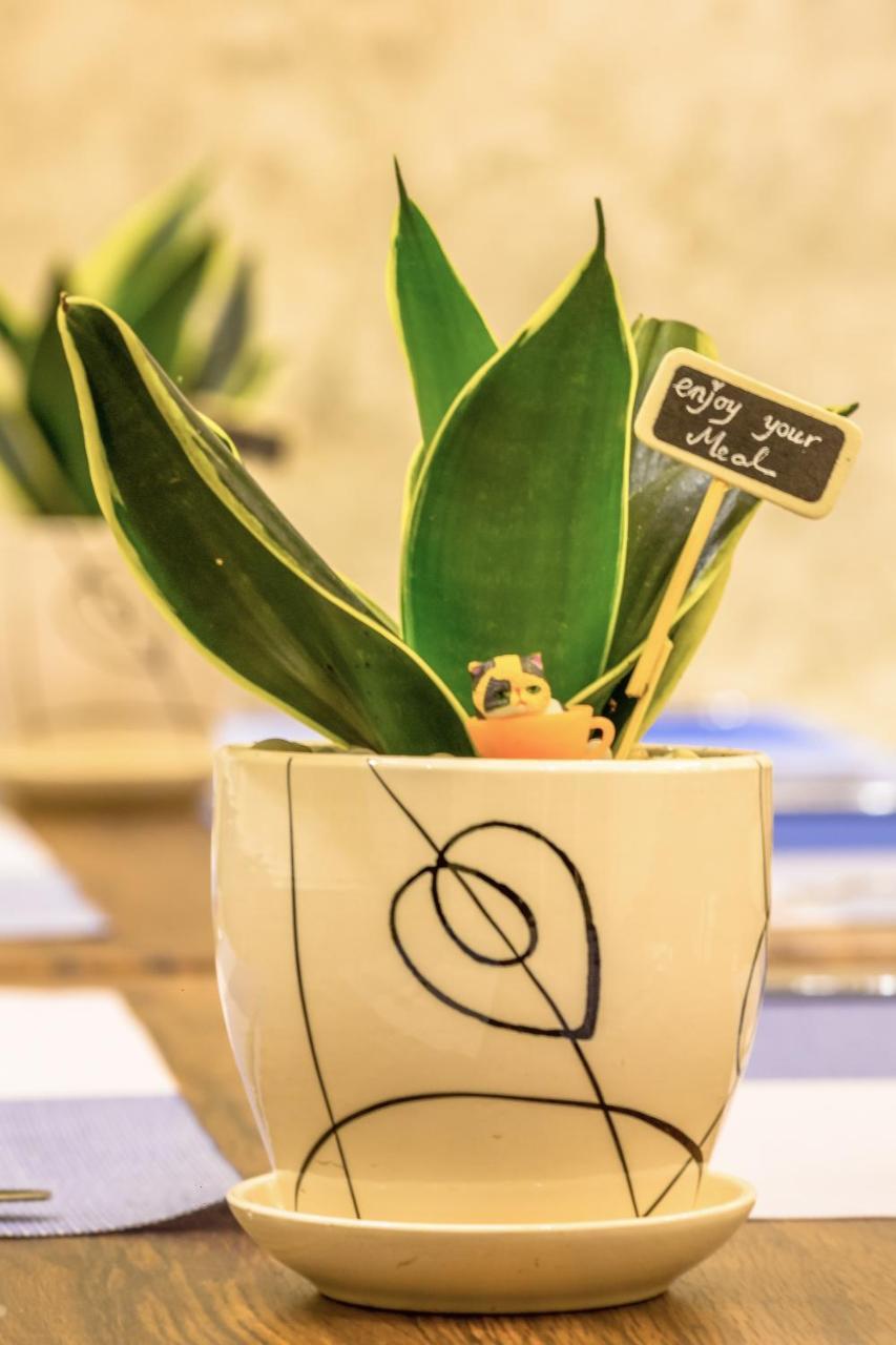 Yến Vy Đà Nẵng